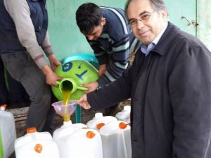 Yağ fiyatları zeytin üreticisinin yüzünü güldürdü