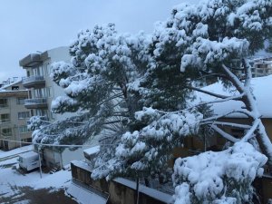 Soğuk ve yağışlı havadan Aydın'da nasibini aldı