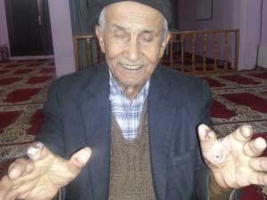 Yarım asırlık çiftçi hazır tohumlara isyan etti
