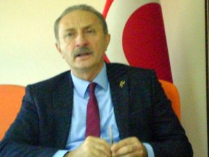 Sokak hayvanları Didim Belediyesi'ne emanet