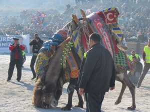Urgancılar, kini tutan develeri ayıramadı