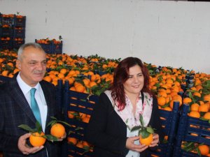 Çerçioğlu, elde kalan 52 ton portakalı satın aldı