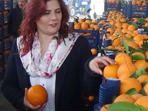 ‘Çerçioğlu’nun kulu kölesi oluruz’