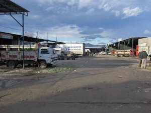 Acarlar Hali sessizliğe büründü