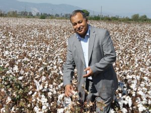 Kocabaş: Yüksek maliyet çiftçiyi pamuktan uzaklaştırıyor