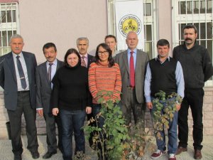 Arıcılar bal ve arı hırsızlığının organize suç olmasını istiyor
