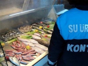 Kaçak avlanan balıkçılara 12 Bin TL ceza kesildi