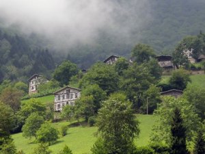 Karadeniz şifa eczanesi