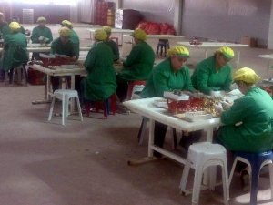 Aydın İŞKUR Mart Ayında 300 kişilik mesleki eğitim kursu başlatıyor