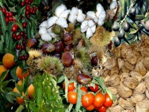 Aydın’da çiftlik muhasebe veri ağı büyüyor