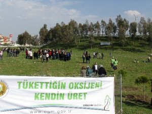 Bereket Ormanı’nda bin fidan toprakla buluştu