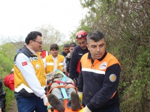 Define merakı canına mal oluyordu