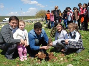 Öğrenciler 75 gençlik hatıra ormanına fidan dikti
