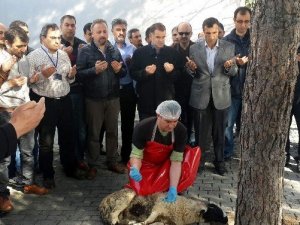 Aydın İl Emniyet Müdürlüğü kurban kesti