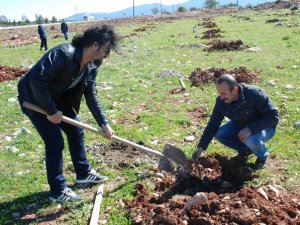 Kamu çalışanları fidan dikti