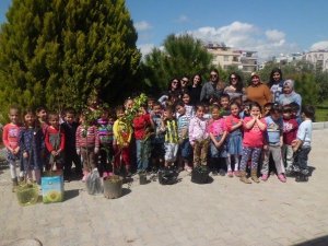 Didim Anaokulu öğrencilerin fidanları ile büyüyecek