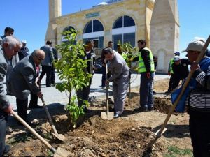 Vali Şentürk Yapımı Tamamlanan Şeyh Edebali Camii’inde İncelemede Bulundu