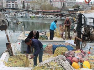Marmara Denizi’nde Balık Çıkmayınca Sezon Erken Kapandı