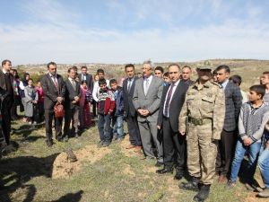 Nevruz Ormanı’na 500 Fidan Dikildi
