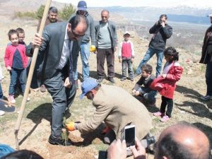 Kardeş Okullardan Sevgi Ormanı
