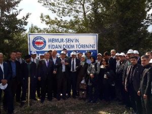 Memur-sen’den ‘Bir Milyon Üye İçin, Bir Milyon Fidan’
