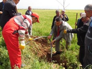 Bu Projeyle Yazıhan Yeşillenecek