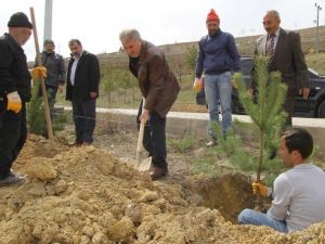 Yeşil Bayburt İçin Çalışmalar Devam Ediyor