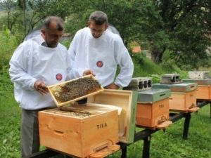 TİKA’nın Bosna Hersek’teki Tarım Projeleri Meyvelerini Vermeye Başladı