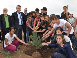 Kaymakam Sündük Öğrencilerle Birlikte Fidan Dikti