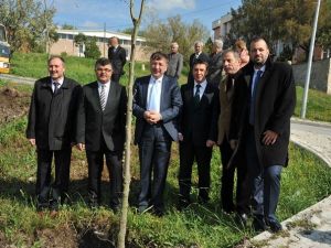 CBÜ Muradiye Yeşillendi