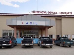 Yüksekova’da Domuz Gribi Şüphesi