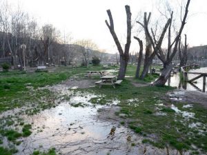Tabiat Parkındaki Göl Suyu Fazla Yağış Alınca Taştı