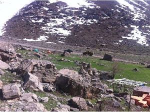 Şırnak’ta 277 Bin Paket Kaçak Sigara Ele Geçirildi