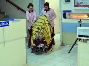 Pitbull İle Korkuttuğu Sevgilisine Cinsel Saldırıda Bulunan Şahıs Tutuklandı