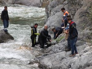 13 Yaşındaki Çoban Ölü Bulundu