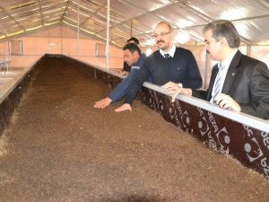 İki Genç Girişimciden Solucan Gübresi Yatırımı