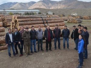 Orman İşletme Müdürlüklerine Yeni Atanan Orman Mühendislerine, Arazide Eğitim