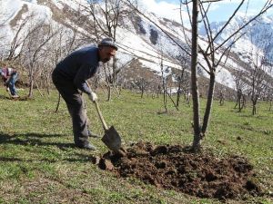 Çözüm Süreci Boşaltılan Köylere Bahar Getirdi