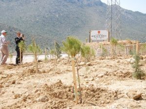 Silifke’de "Cumhurbaşkanı Recep Tayyip Erdoğan Hatıra Ormanı" Oluşturuldu