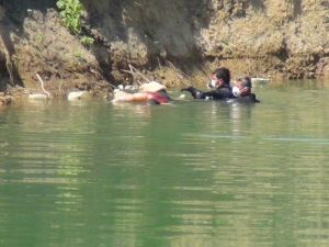 Öldürdüğü Kişinin Telefonundan Ailesine Mesaj Atmış