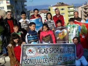 Minik Tekvandocular Fidan Dikti