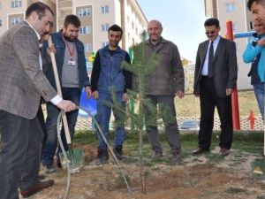 TOKİ’ler 100 Bin Ağaçla Yeşillenecek