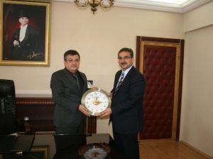 Erzurum Orman Bölge Müdürlüğü Pasinler Hükümet Konağında Peyzaş Ve Ağaçlandırma Çalışması Yapacak