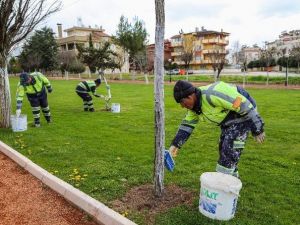 Şehitkamil’de Bahar Hazırlığı