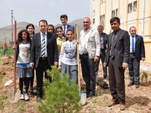 Kaymakam Sündük Kız Öğrencilerle Birlikte Fidan Dikti