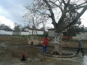 Kurtdere, Cihan Pehlivanı İçin Hazırlanıyor