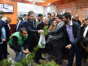 Hedef, 5 Yılda 1 Milyon Fidan