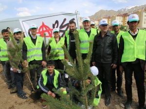 İpekyolu Belediyesi’nden Fidan Dikimi