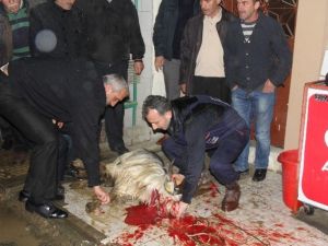 Fenerbahçe Otobüsüne Yapılan Saldırıda Yaralanan Şoför Rize’deki Evine Geldi