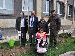 Kaymakam Balcı Ve Belediye Başkanı Yıldız Öğrencilerle Fidan Dikti